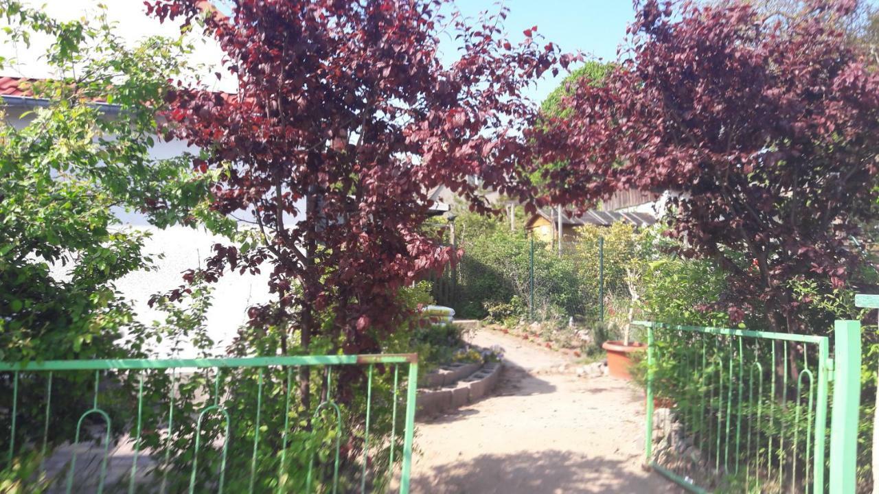 Apartments Zum Brauergang Garz  Ngoại thất bức ảnh